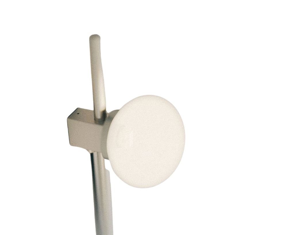 Ovoid Wall Lamp | Stainless Steel | Single