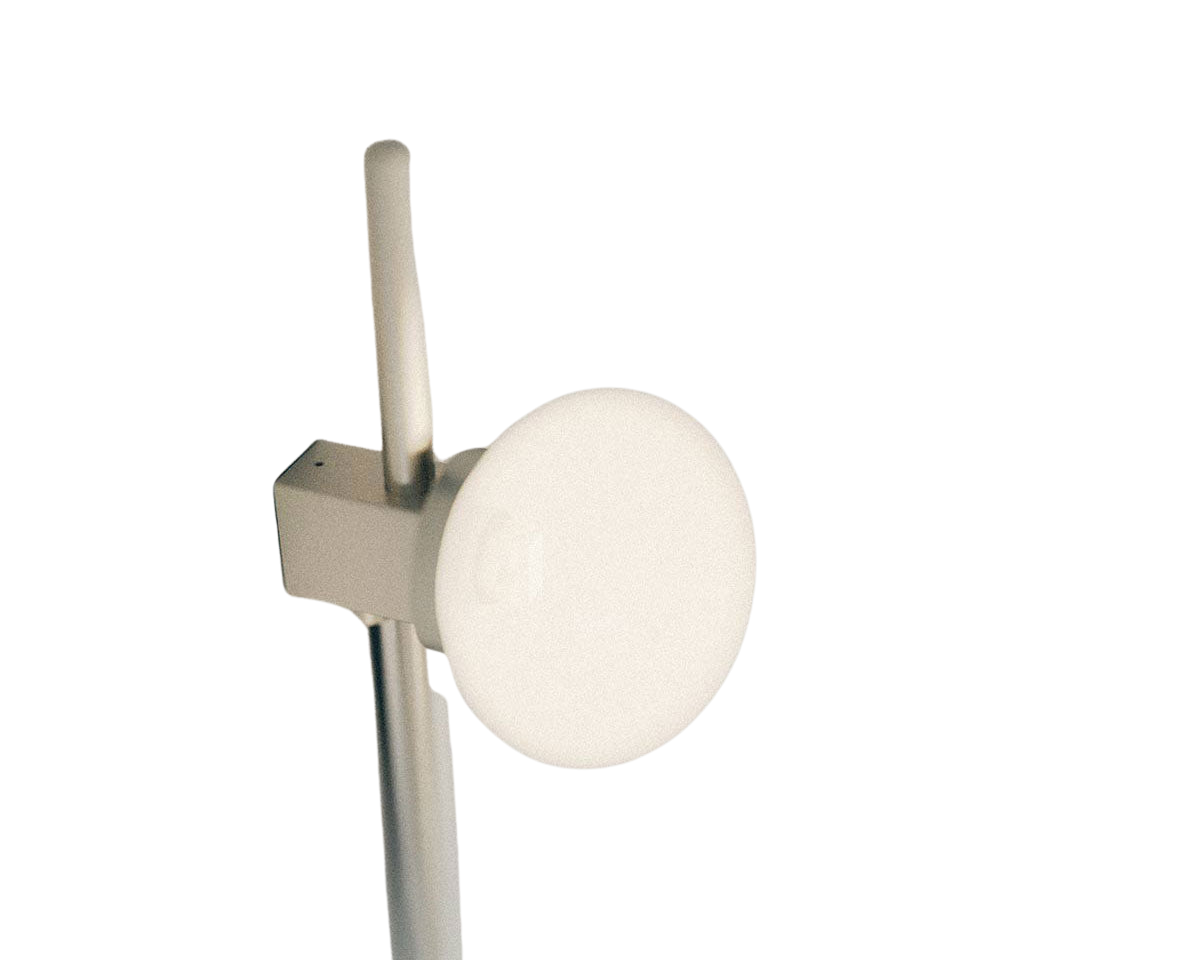 Ovoid Wall Lamp | Stainless Steel | Single